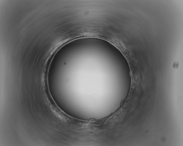 X0000096990098200802151401
