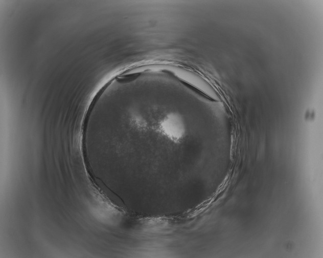 X0000096990100200802151401