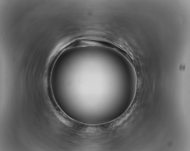X0000096990101200802151401