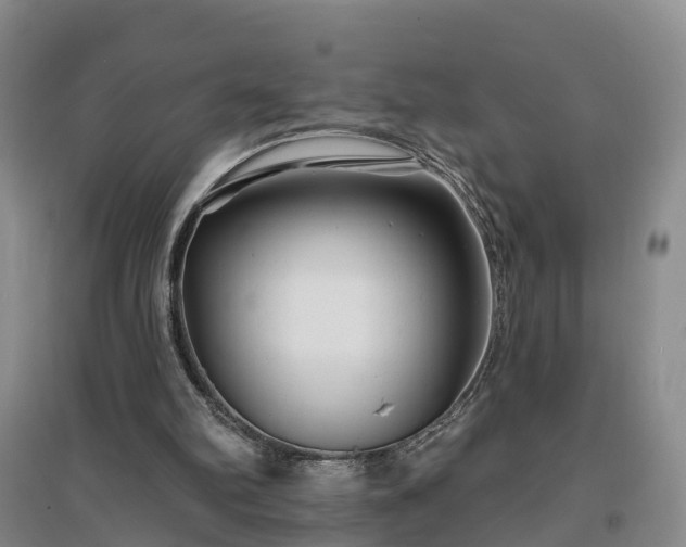 X0000096990102200802151401
