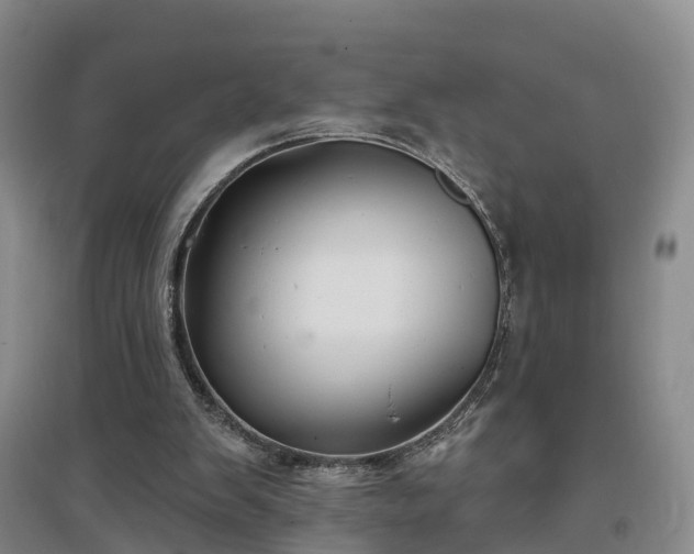 X0000096990103200802151401