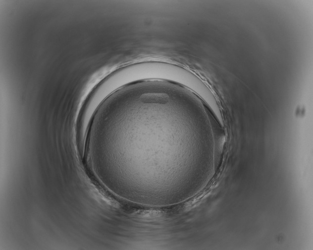 X0000096990104200802151401