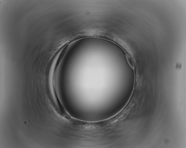 X0000096990105200802151401