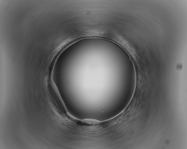 X0000096990107200802151401