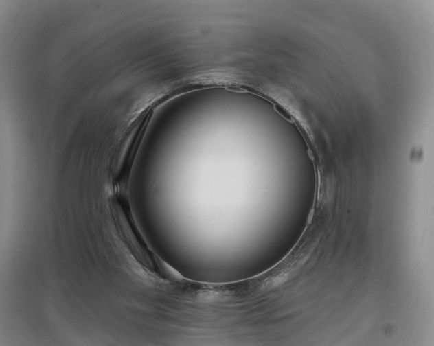 X0000096990109200802151401
