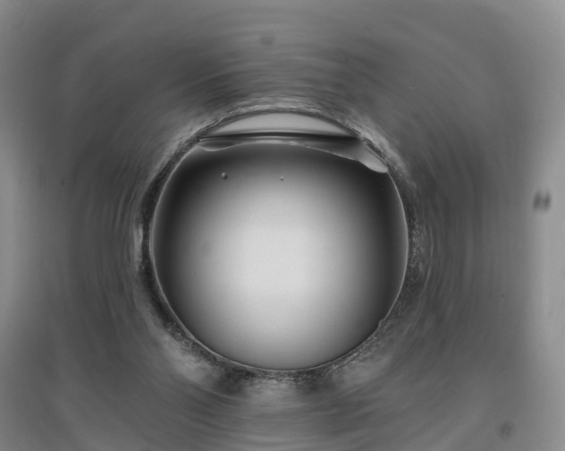 X0000096990110200802151401