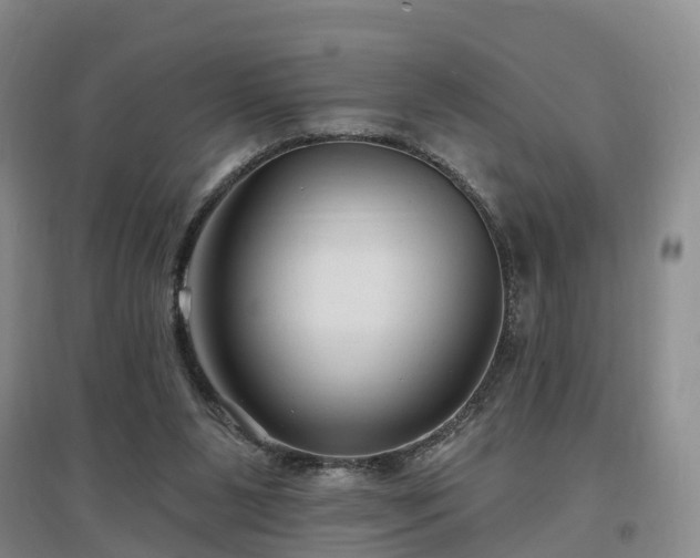 X0000096990111200802151401