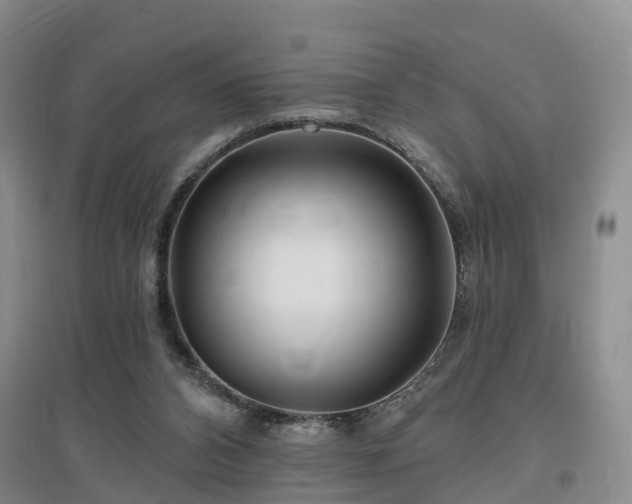 X0000096990112200802151401