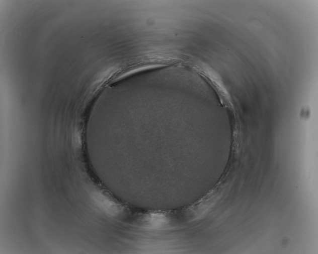 X0000096990114200802151401