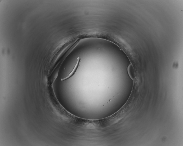 X0000096990115200802151401