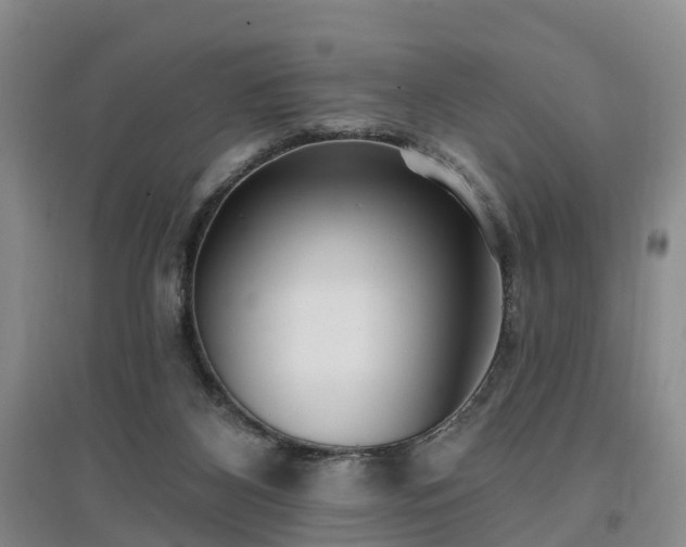 X0000096990116200802151401
