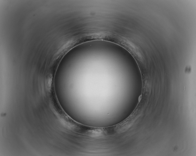 X0000096990118200802151401