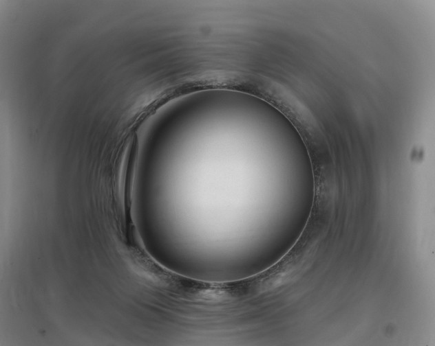 X0000096990119200802151401