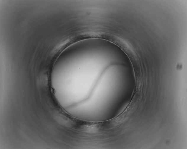 X0000096990120200802151401