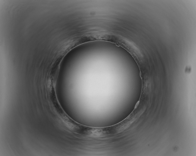 X0000096990121200802151401