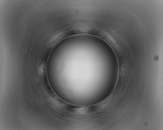 X0000096990122200802151401