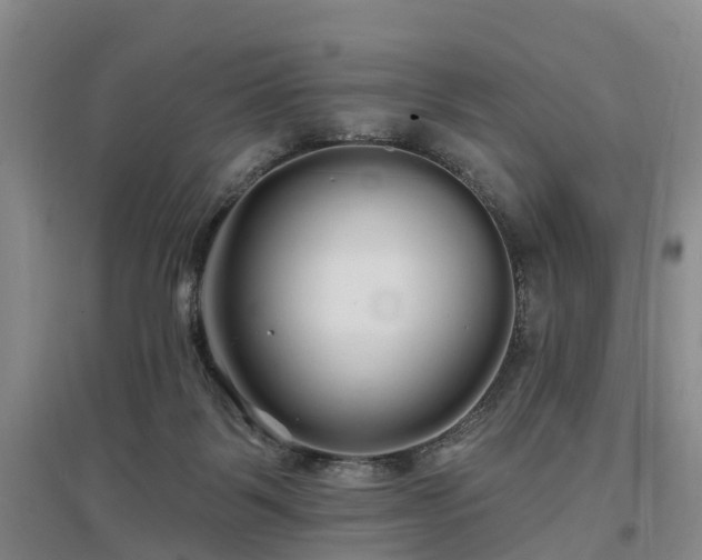 X0000096990123200802151401