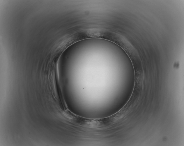 X0000096990125200802151401