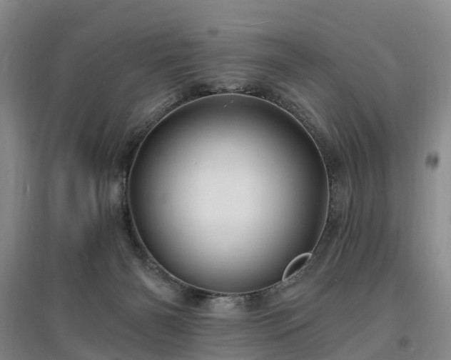 X0000096990126200802151401