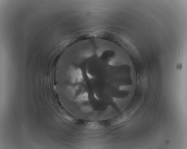 X0000096990127200802151401
