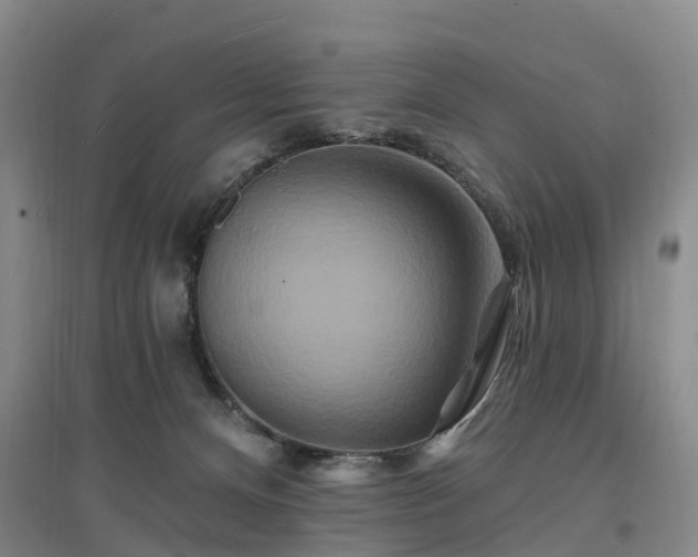 X0000096990128200802151401