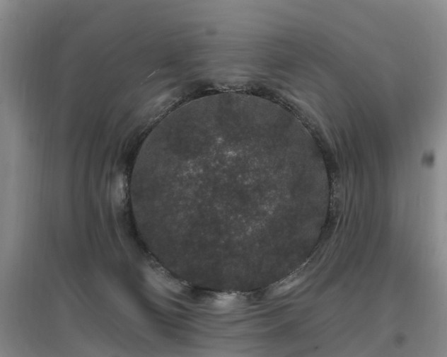 X0000096990130200802151400