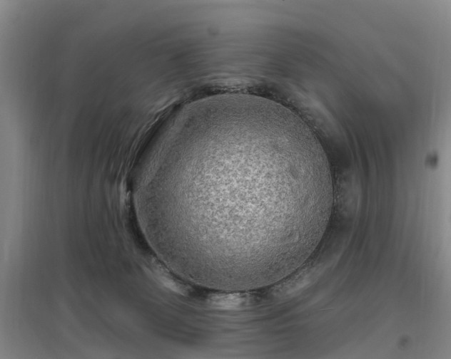 X0000096990131200802151400