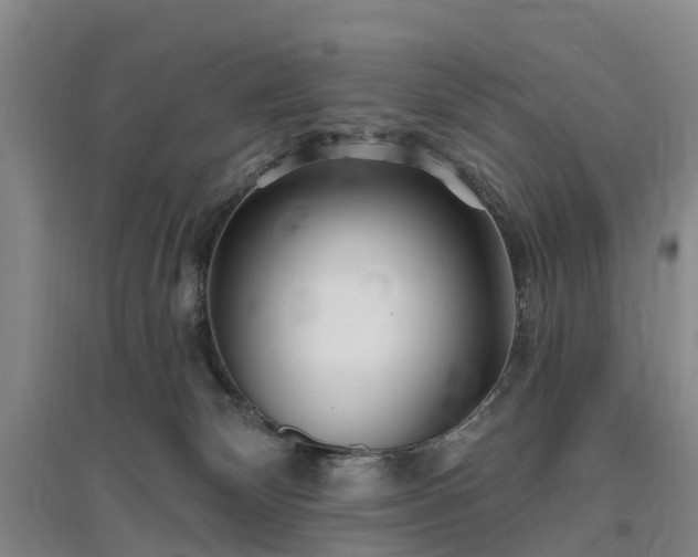 X0000096990132200802151400