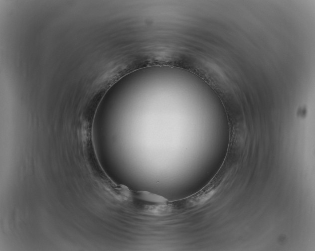 X0000096990135200802151400