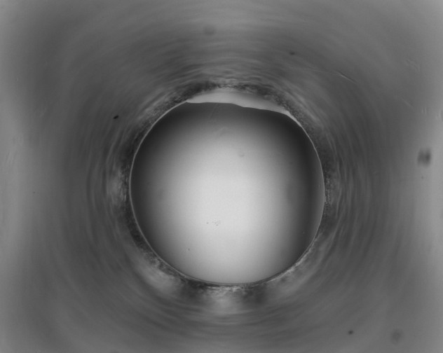 X0000096990136200802151400