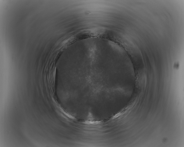 X0000096990137200802151400