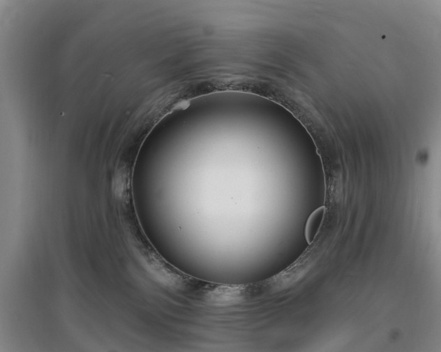 X0000096990138200802151400