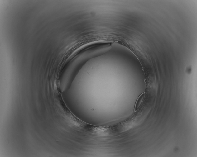 X0000096990139200802151400