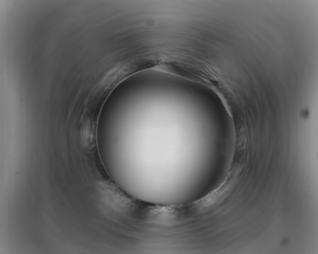 X0000096990140200802151400