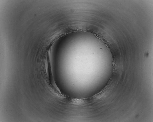X0000096990141200802151400