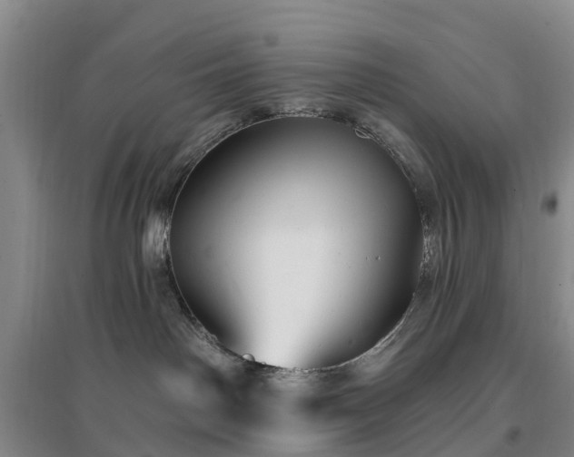 X0000096990142200802151400