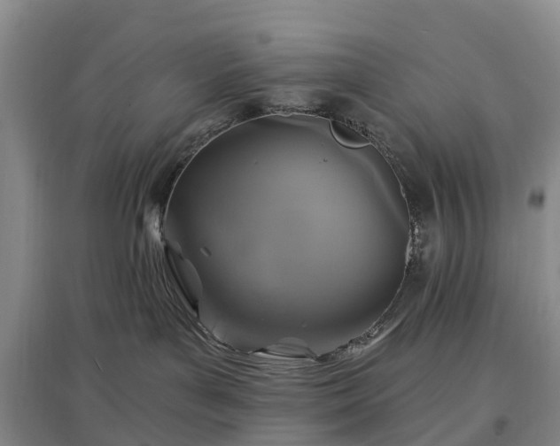 X0000096990143200802151400