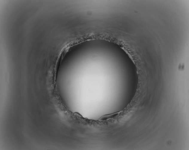 X0000096990144200802151400