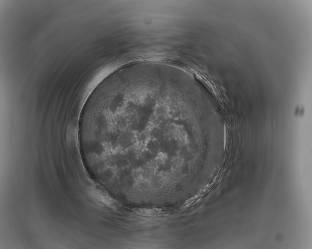 X0000096990147200802151400