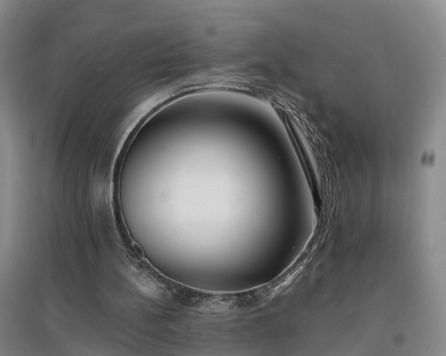X0000096990148200802151400