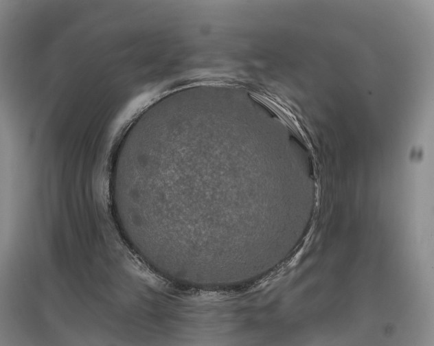 X0000096990149200802151400