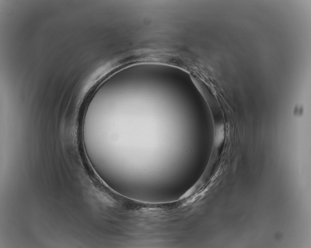 X0000096990150200802151400