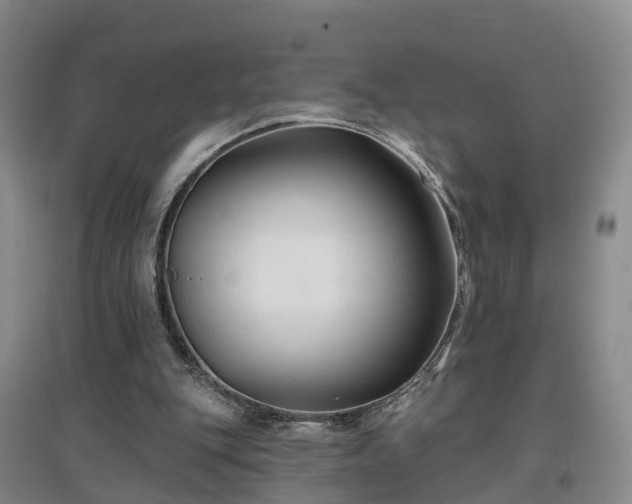 X0000096990151200802151400