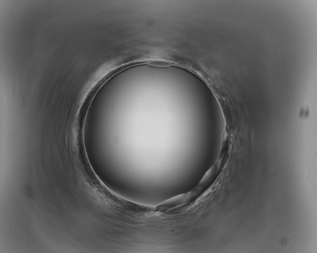X0000096990152200802151400