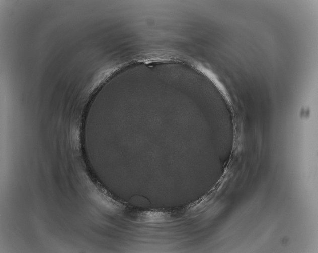 X0000096990154200802151400