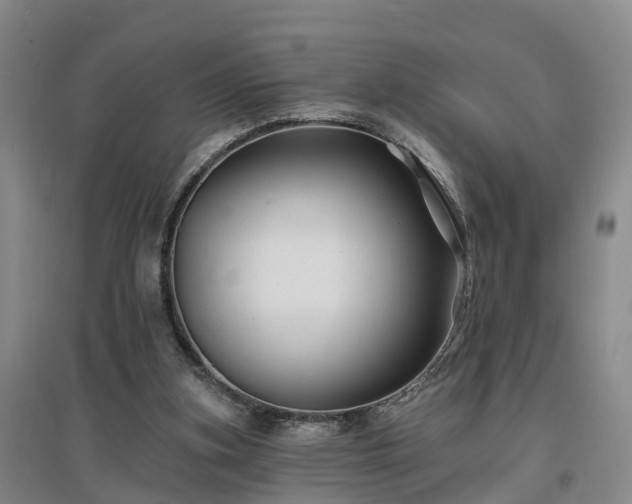 X0000096990155200802151400
