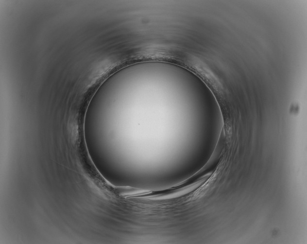 X0000096990158200802151400