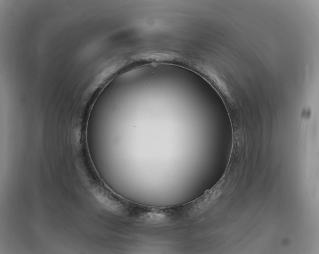 X0000096990159200802151400