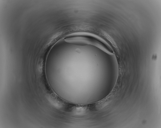 X0000096990163200802151400