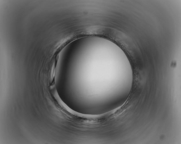 X0000096990164200802151400
